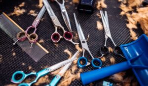 In-Home Senior Hairdresser Montreal