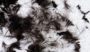 Montreal Senior Hairstyling Services