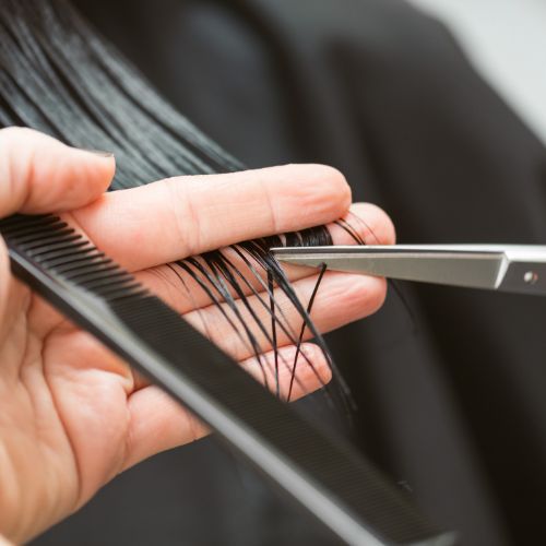 mobile hairdresser for seniors montreal