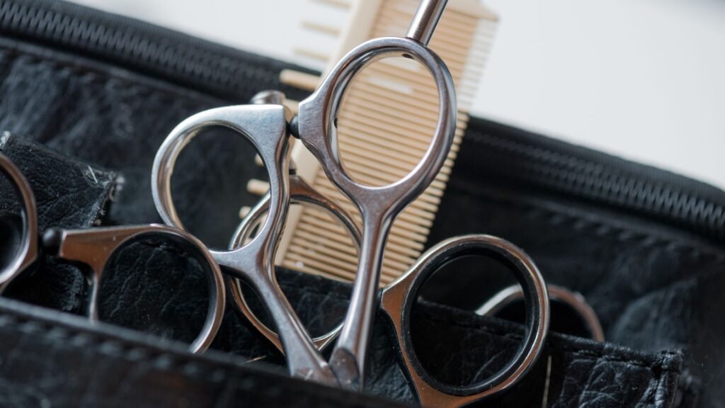 mobile hairdresser for seniors montreal