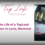A Day in the Life of a TapLook Team Member in Lévis, Quebec